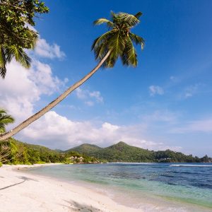 Un sejour aux Seychelles, ca vous tente ?